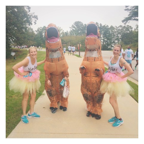 donuts and dinosaurs