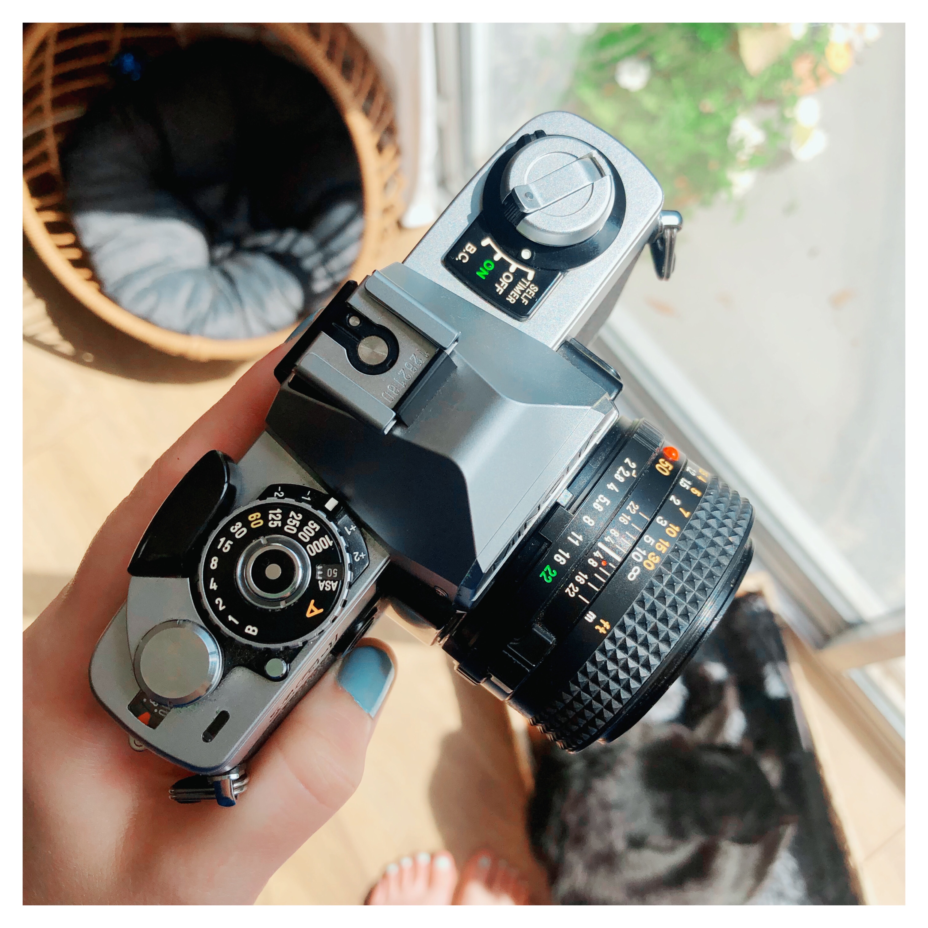 Minolta XG-1 | Unbidden Grace